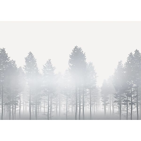 Komar Fototapete Vlies Silver Haze  400 x 280 cm günstig online kaufen
