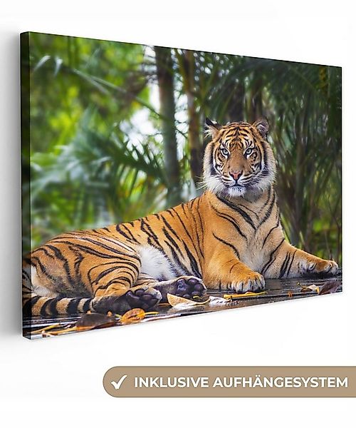 OneMillionCanvasses® Leinwandbild Tiger - Tiere - Wald - Dschungel, Fotodru günstig online kaufen