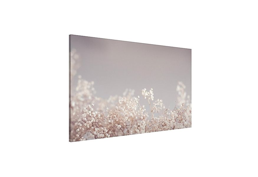 Bilderdepot24 Magnettafel Küche beige Sanfter Blütentraum, (1-tlg., Magnetb günstig online kaufen