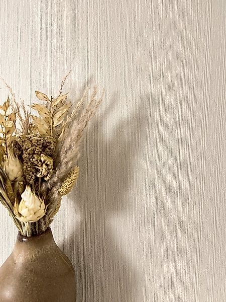 Newroom Vliestapete Raina Uni Beige Tapete Mustertapete Uni, Einfarbig, Str günstig online kaufen