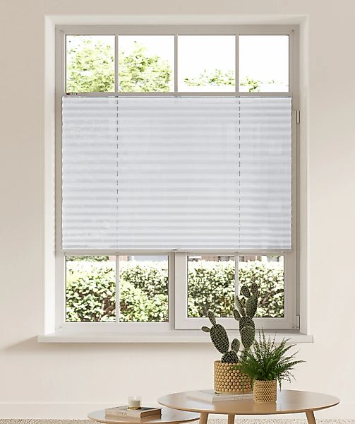 my home Plissee "LAHOLM" Lichtschutz ohne Bohren verspannt Fixmaß, Bestsell günstig online kaufen