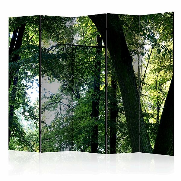 5-teiliges Paravent - Spring In The Park Ii [room Dividers] günstig online kaufen