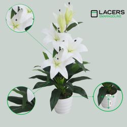 Kunstpflanze SMARAGDLINE künstliche Grünpflanzen in verschiedenen günstig online kaufen