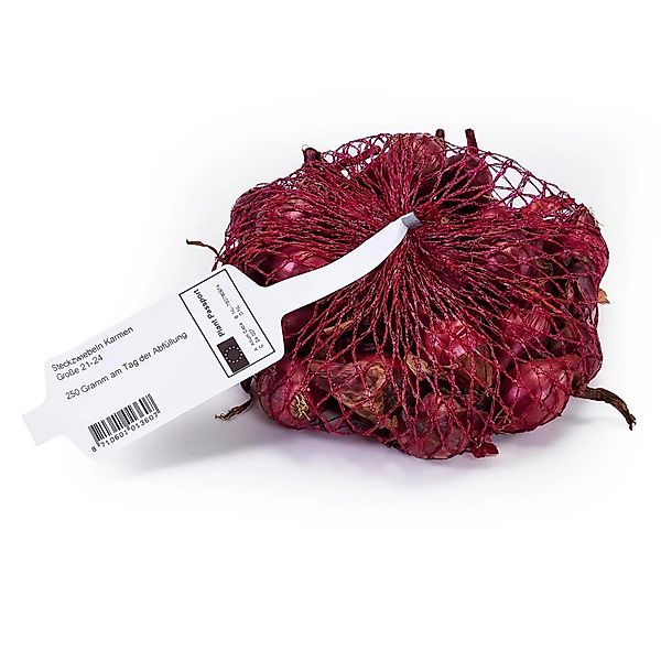 Steckzwiebel 250 g Allium cepa Karmen günstig online kaufen