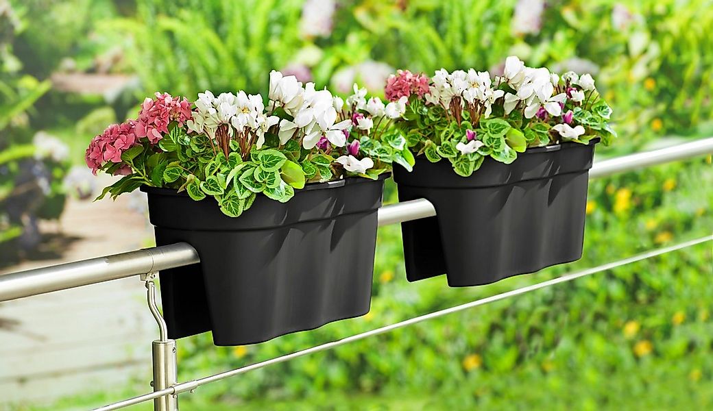 KHW Balkonkasten Flowerclip XXL (Set, 2 St), BxTxH: 57,5x27,7x27 cm günstig online kaufen