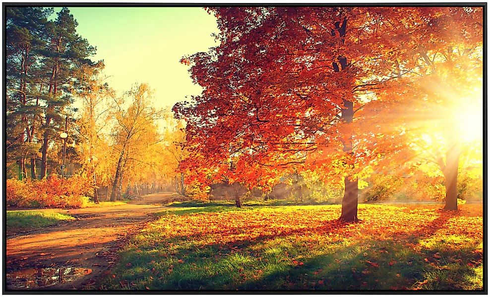 Papermoon Infrarotheizung »Herbstbäume«, sehr angenehme Strahlungswärme günstig online kaufen