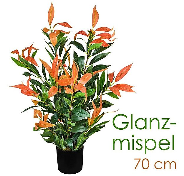 Kunstblume Künstliche Glanzmispel Photinia Kunstpflanze Künstliche Pflanze günstig online kaufen