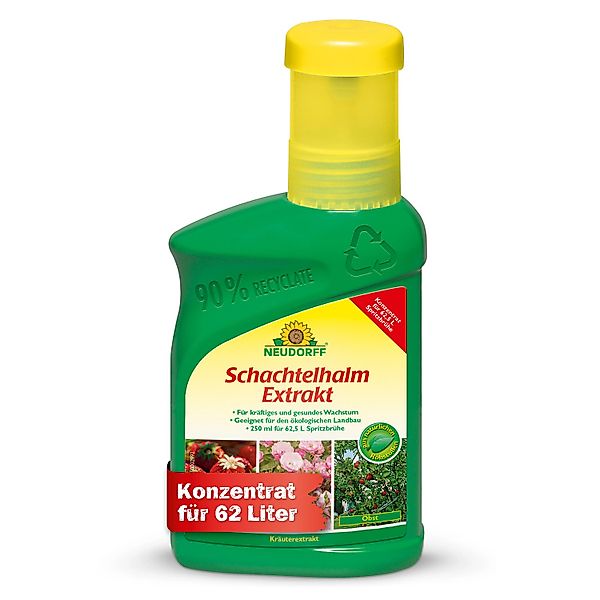 Neudorff Pflanzenstärkungsmittel Schachtelhalm Extrakt 250 ml günstig online kaufen