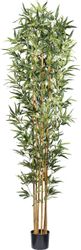 Kunstbaum Bambus Bambus, Creativ green, Höhe günstig online kaufen