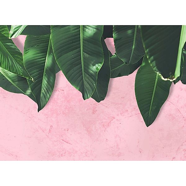 Fototapete Blätter Grün Rosa 3,50 m x 2,55 m FSC® günstig online kaufen