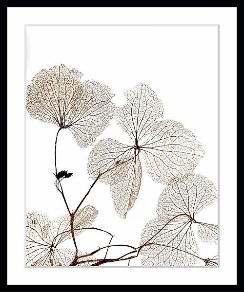 queence Bild »Ina« günstig online kaufen