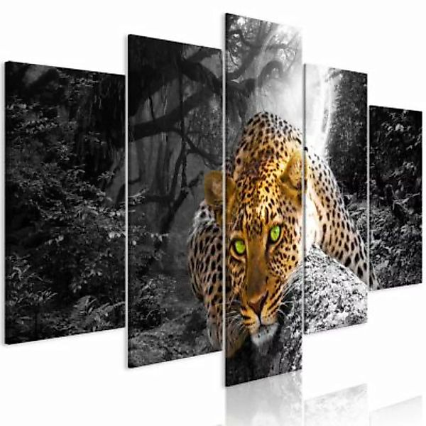 artgeist Wandbild Leopard Lying (5 Parts) Wide Grey mehrfarbig Gr. 200 x 10 günstig online kaufen