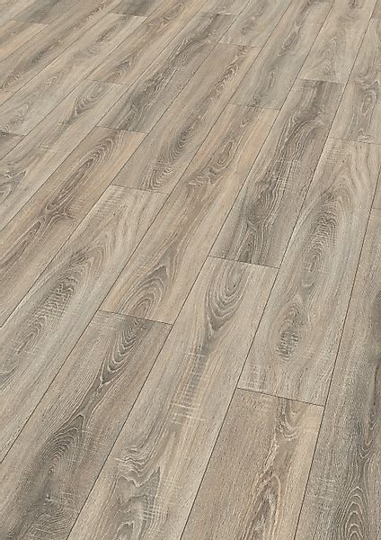 EGGER Laminat EHL189 Toscolano Eiche hellgrau, günstig online kaufen