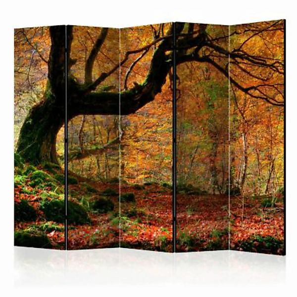 artgeist Paravent Autumn, forest and leaves II [Room Dividers] mehrfarbig G günstig online kaufen