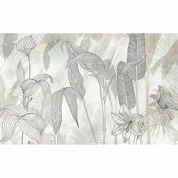 Komar Fototapete »Digitaldruck Vlies - Linierte Lilien - Größe 400 x 250 cm günstig online kaufen