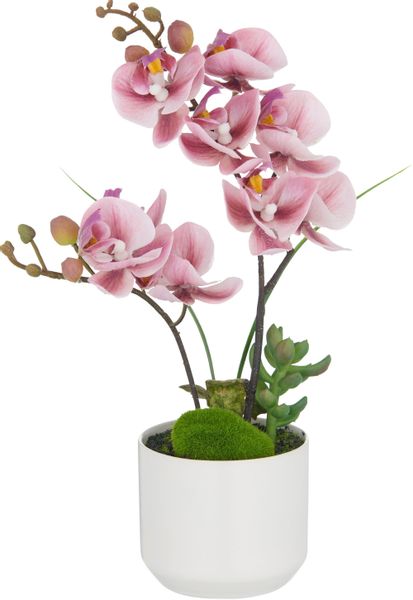 Kunstorchidee Orchidee Phalaenopsis, Creativ green, Höhe günstig online kaufen