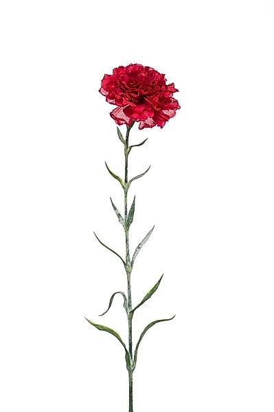 Kunstblume Rot, Durchmesser 9 cm, Emerald, günstig online kaufen