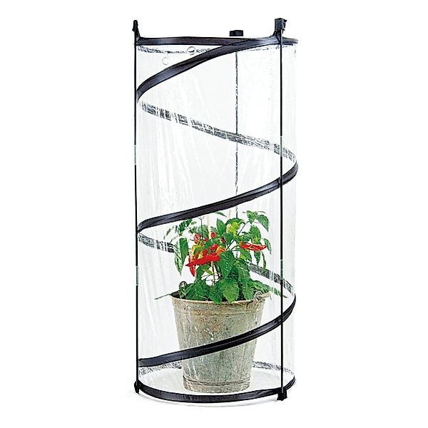 TOPCENT Foliengewächshaus Pop-Up-Gewächshaus 45 x 110 günstig online kaufen