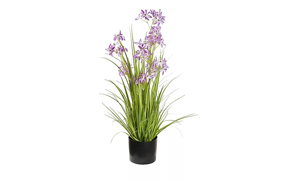 Grasbüschel - lila/violett - Kunststoff - 79 cm - Dekoration > Kunstblumen günstig online kaufen