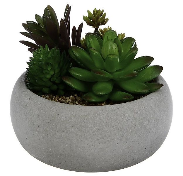 Kunstpflanze Zimmerpflanze, Atmosphera Créateur d'intérieur, Höhe 10 cm günstig online kaufen