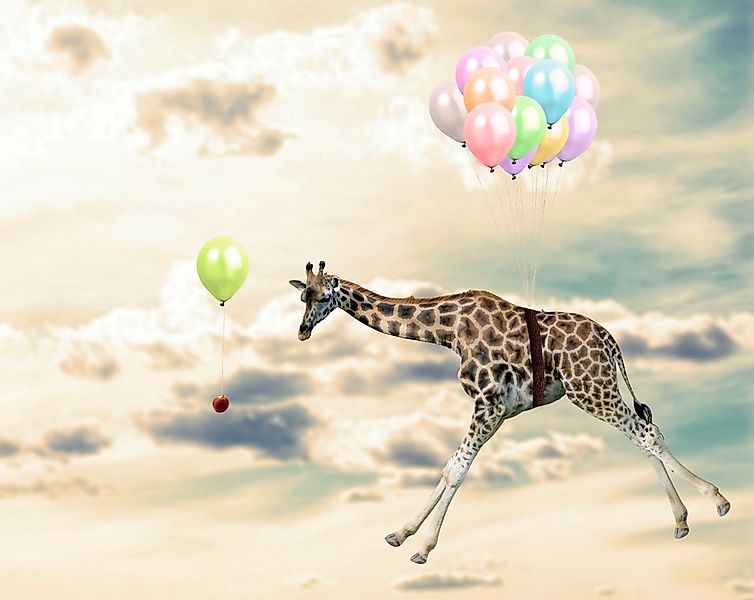 queence Acrylglasbild "fliegende Giraffe" Giraffe  Giraffen  Giraffen Bilde günstig online kaufen