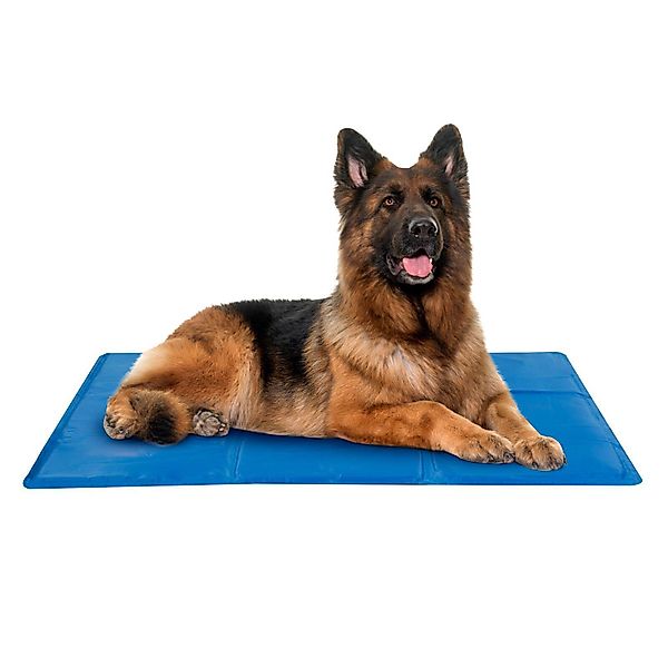 HAC24 Hundematte Kühlmatte für Hunde Haustier günstig online kaufen
