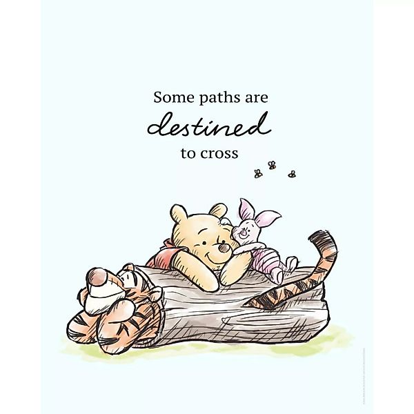 Komar Wandbild Winnie Pooh Path Disney B/L: ca. 40x50 cm günstig online kaufen