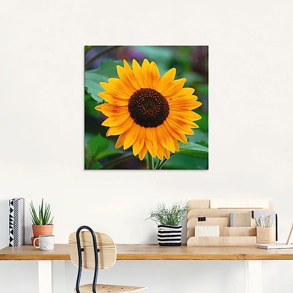 Artland Glasbild »Sonnenblume«, Blumen, (1 St.), in verschiedenen Größen günstig online kaufen