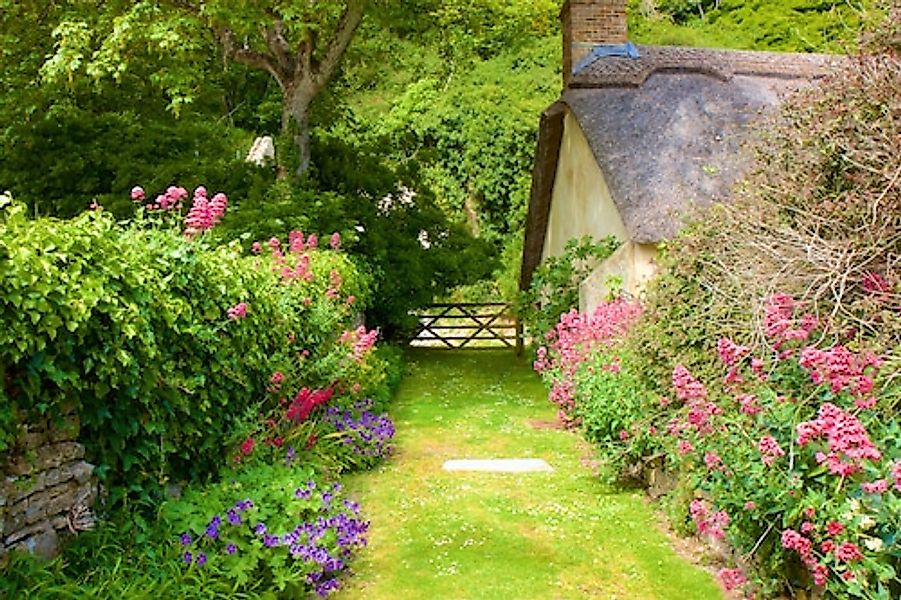 Papermoon Fototapete »GARTEN-BLUMEN BÄUME PFLANZEN STEINE WALD PERGOLA BLÜT günstig online kaufen