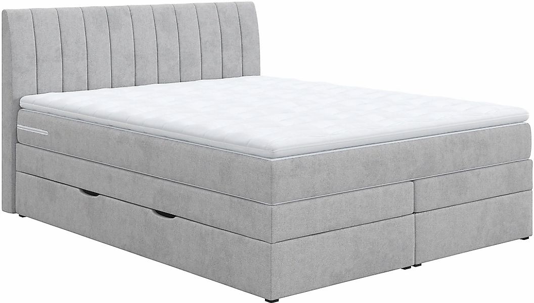 COTTA Boxspringbett "Shark inkl. Bettkasten und Topper", erhältlich in den günstig online kaufen
