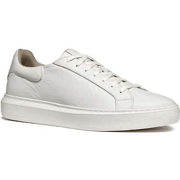 Geox  Sneaker - günstig online kaufen