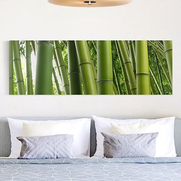 Leinwandbild Bambus - Panorama Bamboo Trees günstig online kaufen