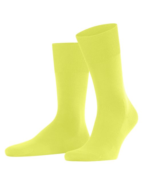 FALKE Socken ClimaWool (1-Paar) feuchtigkeitsregulierend & günstig online kaufen