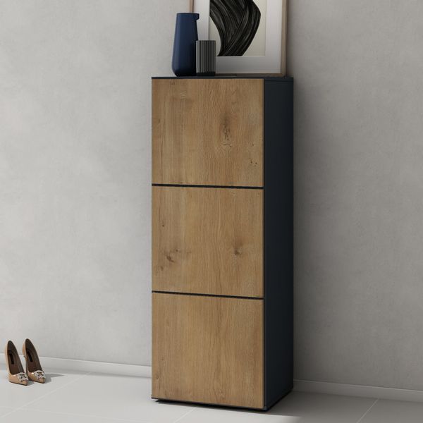 doporro Schuhschrank Schuhregal Schuhkipper mit 3 günstig online kaufen