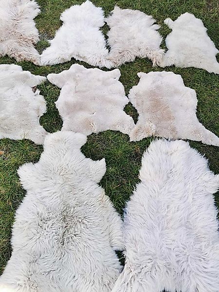 Provellus Fellteppich Schaffell Lammfell Hellbraun Unikat Weich Bis 140 cm, günstig online kaufen