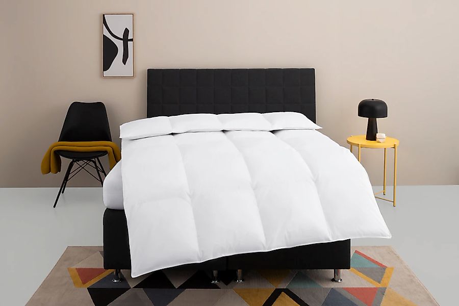 my home Daunenbettdecke "Nobyn, Bettdecke 135x200 cm und 155x220 cm" warm F günstig online kaufen