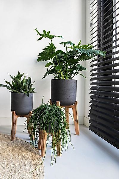 finestgreen Pflanzkübel Charlie Feet High günstig online kaufen