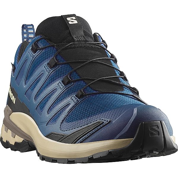 Salomon XA PRO 3D V9 GTX günstig online kaufen