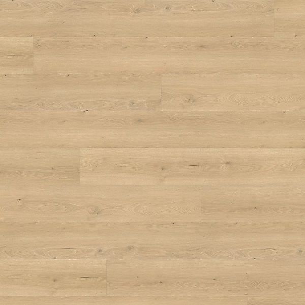 Living by Haro XL Laminat 8 mm Eiche Flavia Puro günstig online kaufen