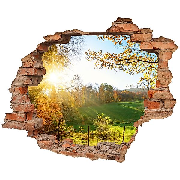 WallSpirit Wandtattoo Wanddurchbruch "Waldlichtung", Selbstklebend, rücksta günstig online kaufen
