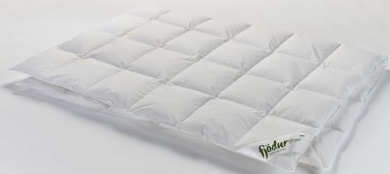 fjödur Daunenbettdecke »Fleur« normal Füllung 90% Daunen 10 % Federn 1 Stk. günstig online kaufen
