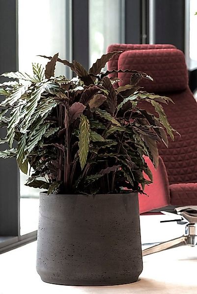 finestgreen Pflanzkübel Handgefertigtes Pflanzgefäß Patt günstig online kaufen