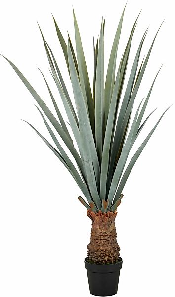 Creativ green Kunstpflanze "Agave angustifolia", in beeindruckender Größe günstig online kaufen