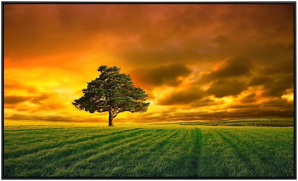 Papermoon Infrarotheizung »Baum in Feld«, sehr angenehme Strahlungswärme günstig online kaufen