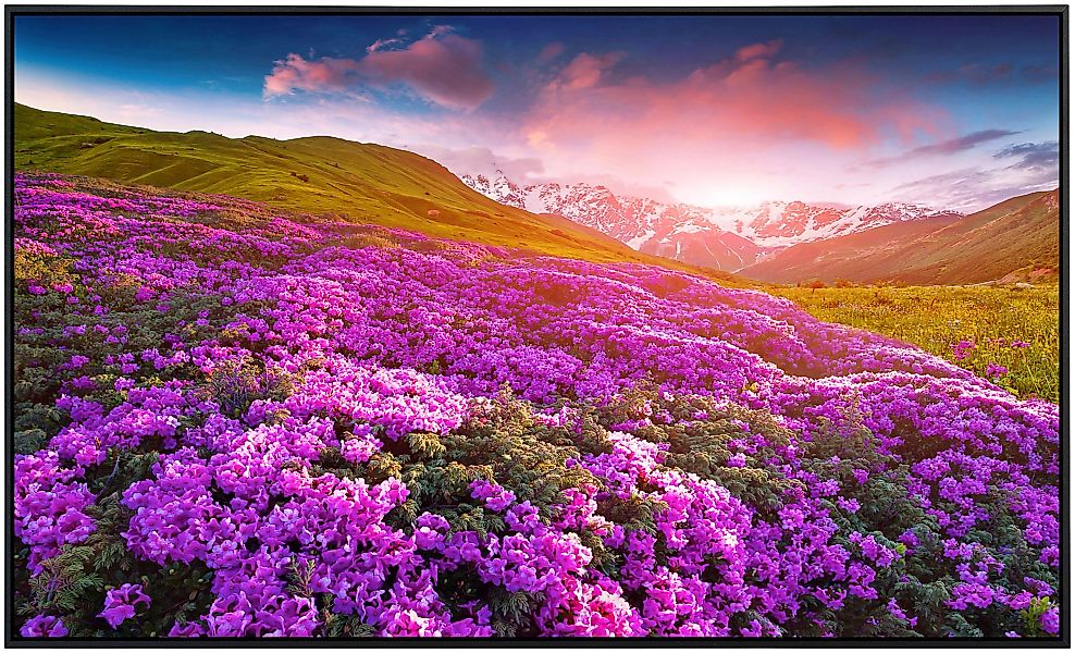 Papermoon Infrarotheizung »Berge Blumen«, sehr angenehme Strahlungswärme günstig online kaufen