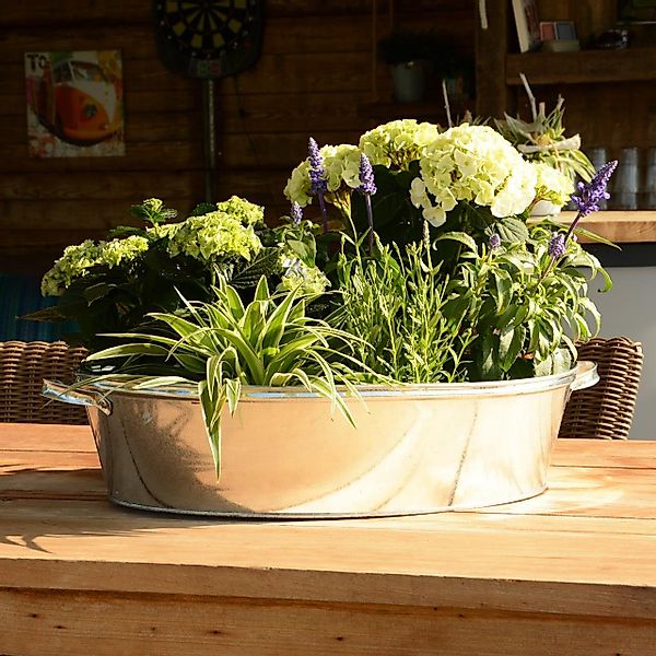UNUS GARDEN Blumentopf Zinkwanne Zinkübertopf Pflanztopf günstig online kaufen