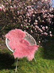 Hollert Fellteppich Tibet gelocktes Lammfell Schaffell, günstig online kaufen