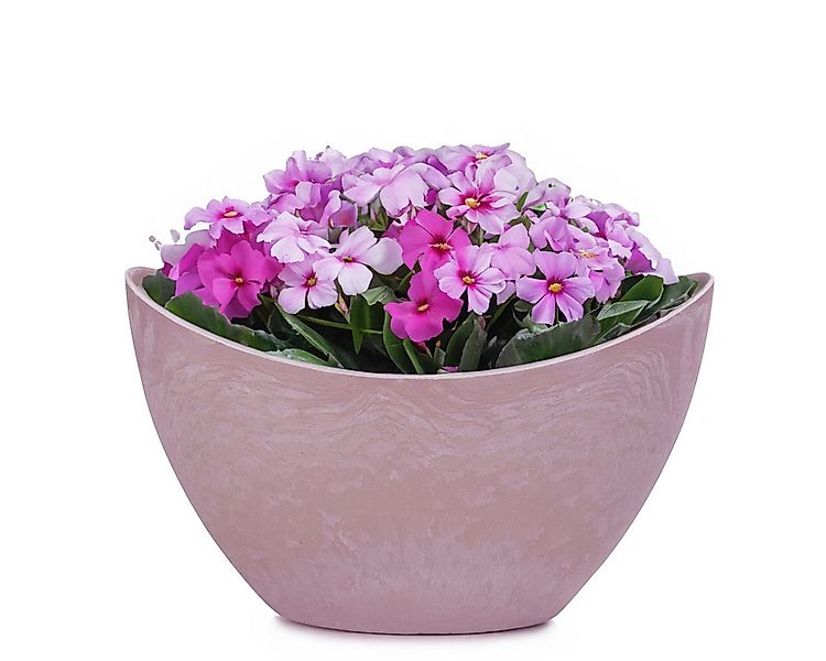 matches21 HOME & HOBBY Blumentopf Pflanzschale oval 24 cm für draussen Deko günstig online kaufen