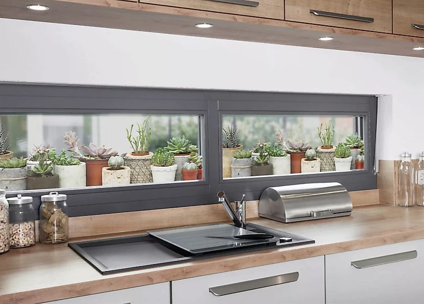 MySpotti Fensterfolie "Look Succulents", halbtransparent, glattstatisch haf günstig online kaufen