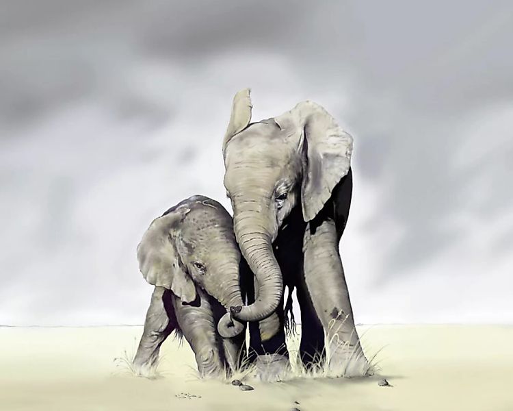 Fototapete "Elefanten frei" 4,00x2,50 m / Glattvlies Perlmutt günstig online kaufen